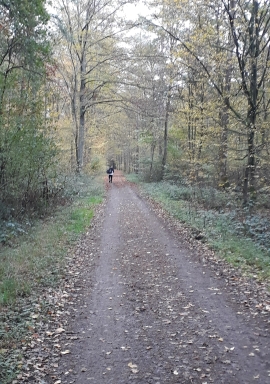 Wildpark1