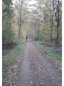 Wildpark1